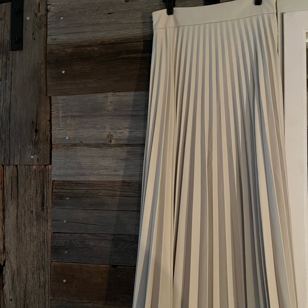 Dynamite pleated skirt